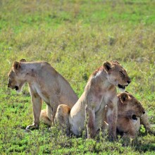 Dume Africa Trails Kenya _DSC0120 41