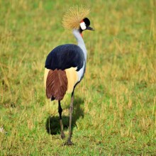 Dume Africa Trails Kenya _DSC0020 77