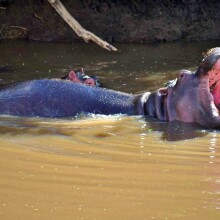 Dume Africa Trails Kenya _DSC0056 11