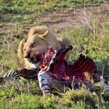 Dume Africa Trails Kenya _DSC0092 26