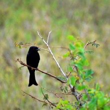 Dume Africa Trails Kenya _DSC0227 58