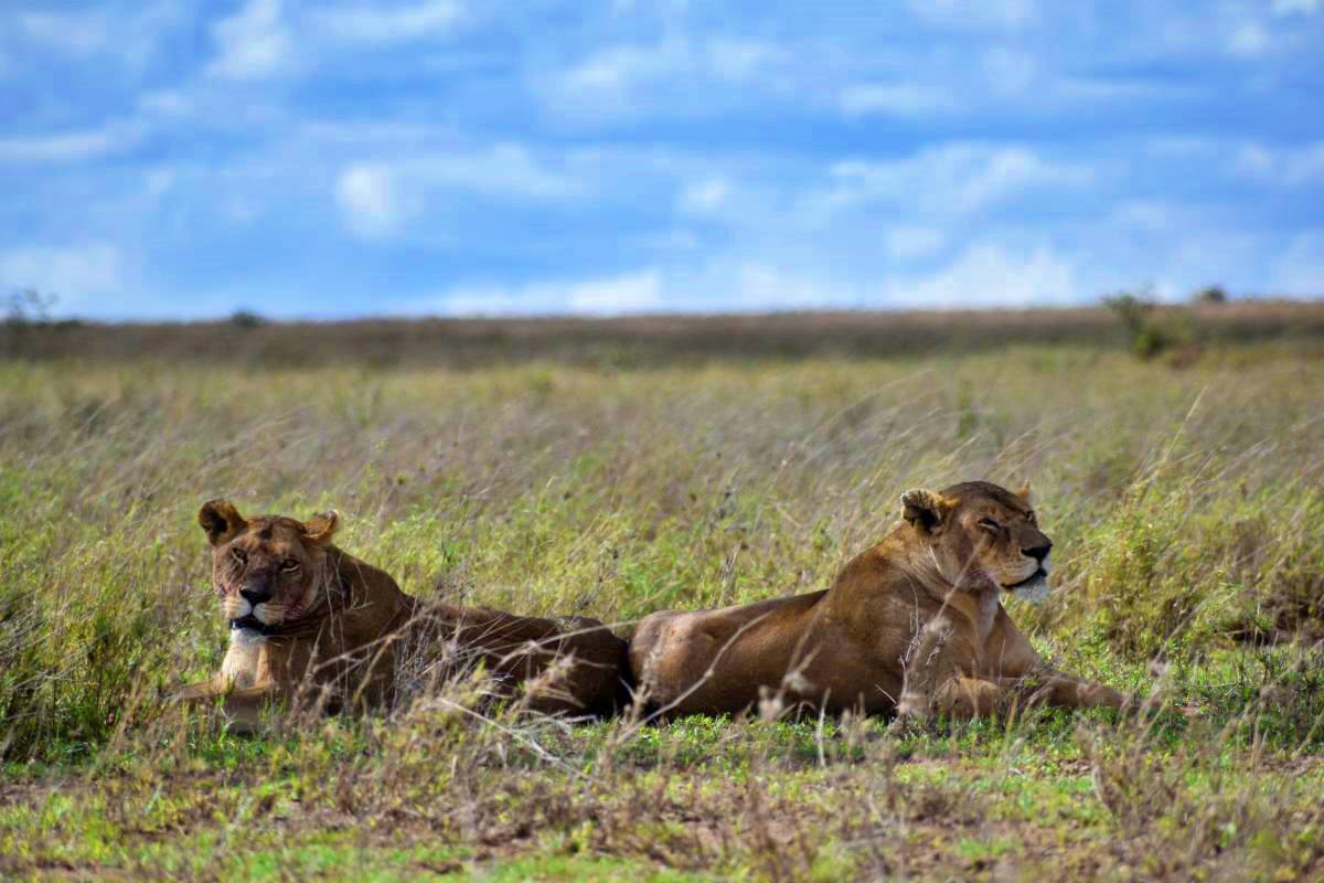 Dume Africa Trails Kenya _DSC0147 46